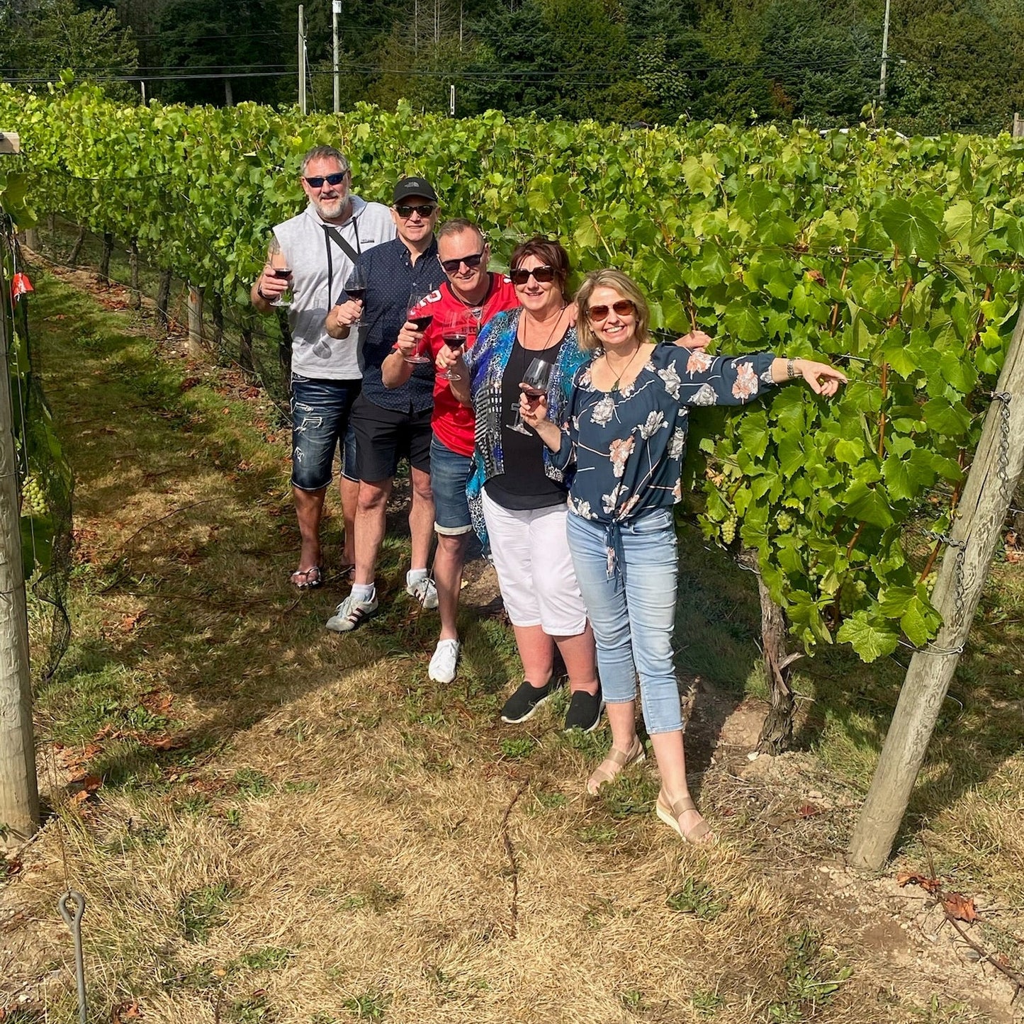 Farm Tour on Private Wine Tour