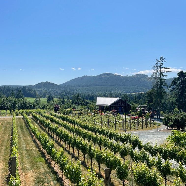 Shuswap Winery Tours