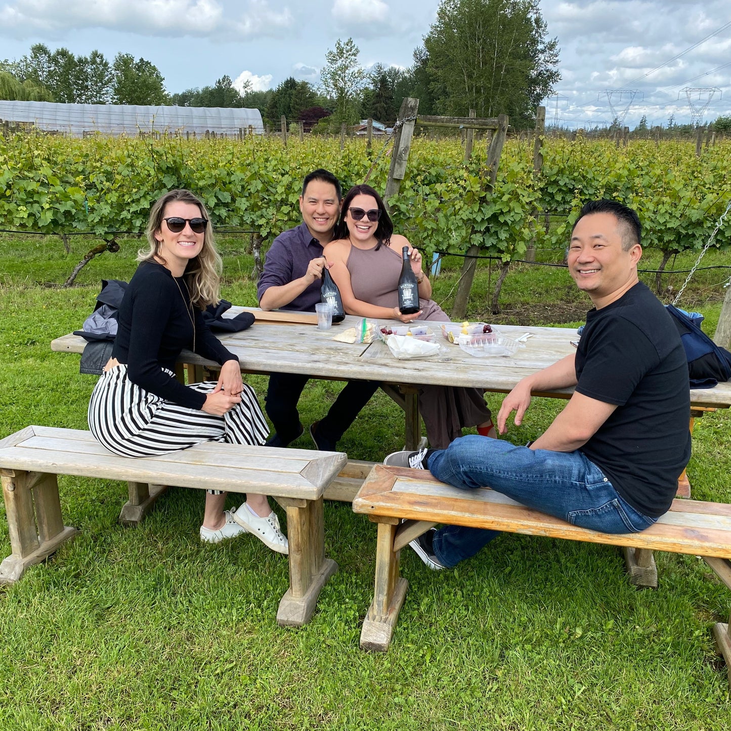 Fun Wine Tours