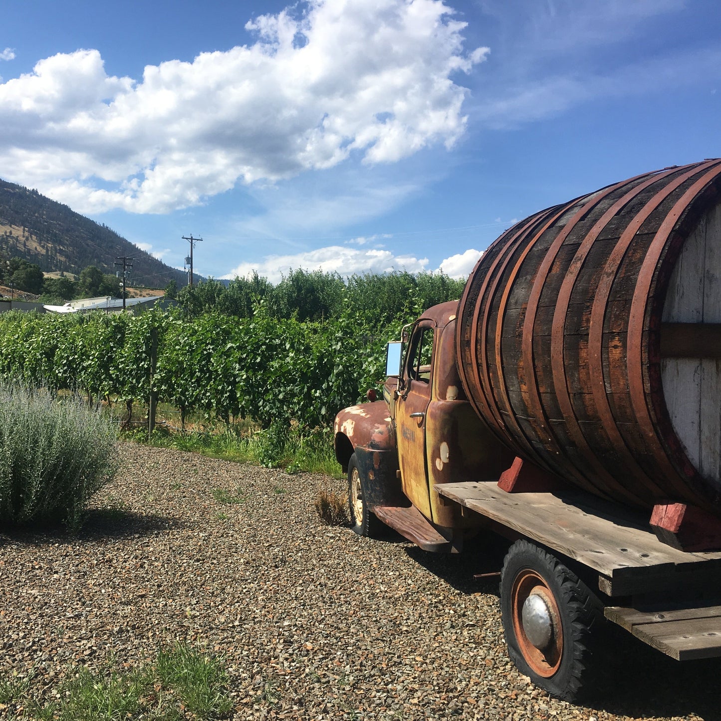 Kelowna Winery