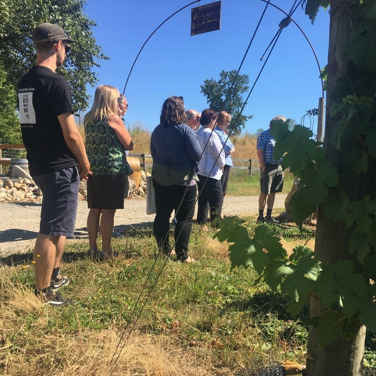 Winery Tour through Vines in Shuswap