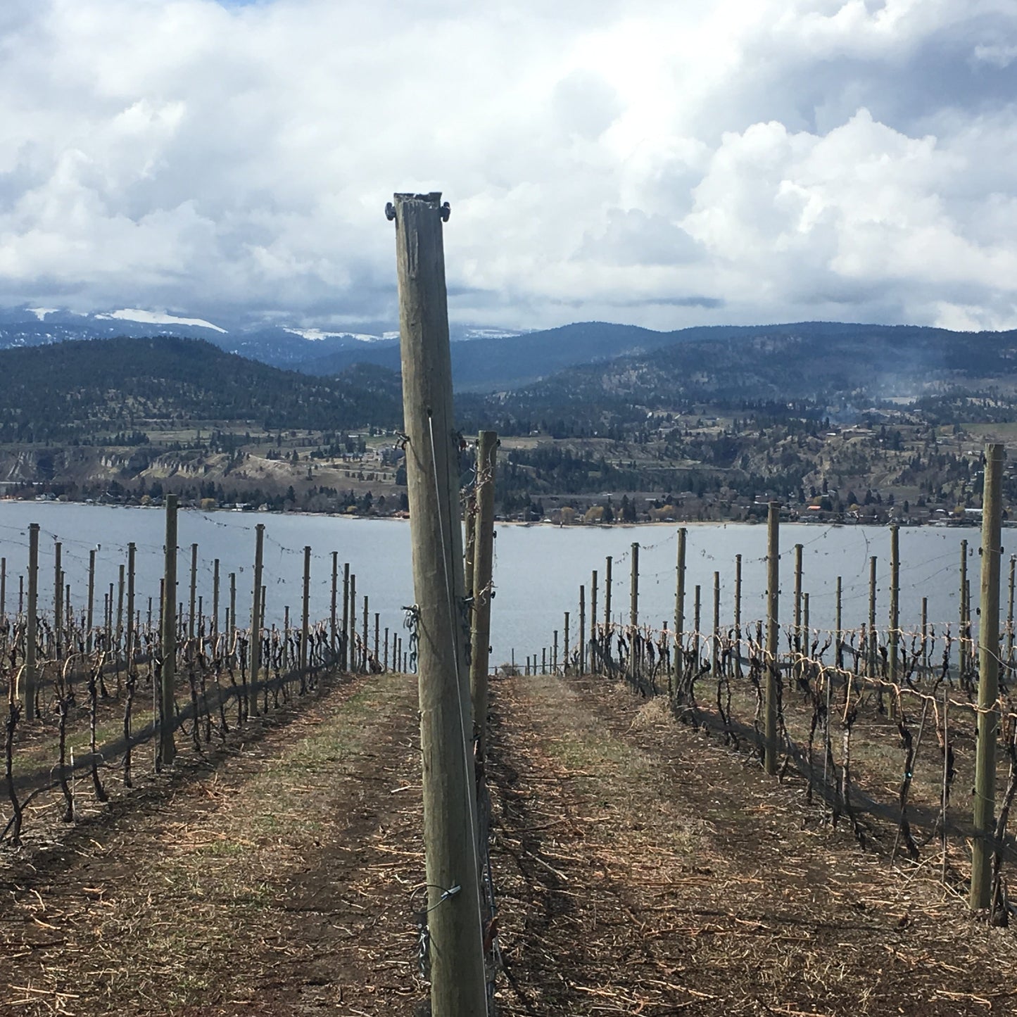 Winter Wine Tour with View